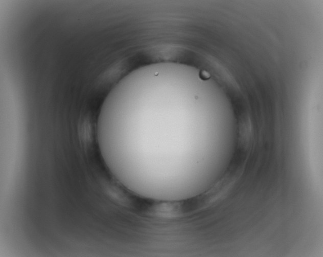 X0000113850126200909241255