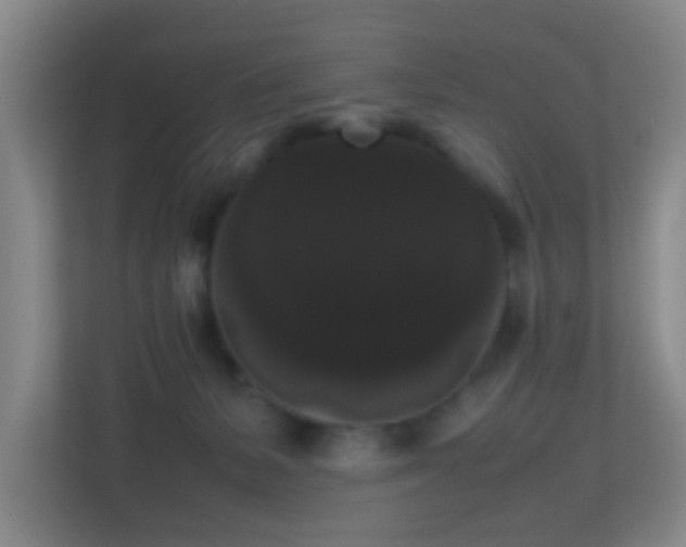 X0000113850127200909241255