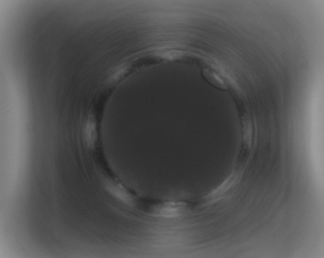 X0000113850128200909241255