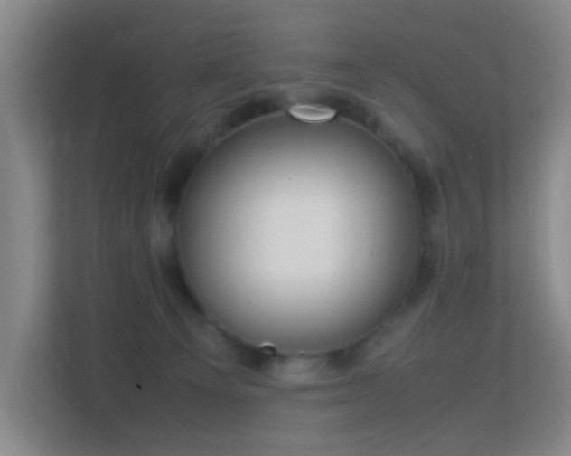 X0000113850129200909241255