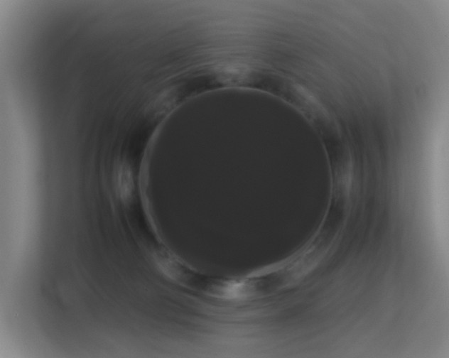 X0000113850130200909241255