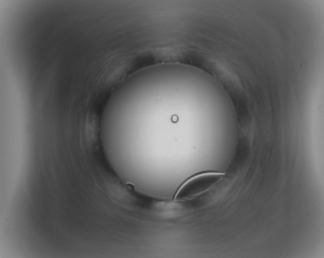 X0000113850133200909241255