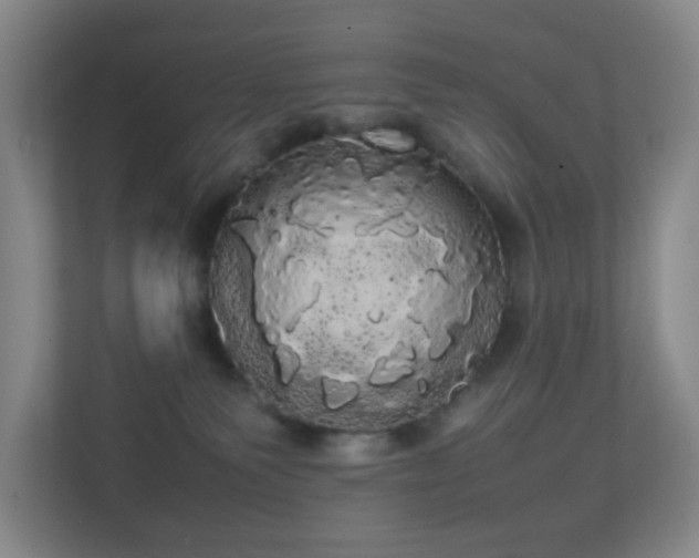 X0000113850135200909241255