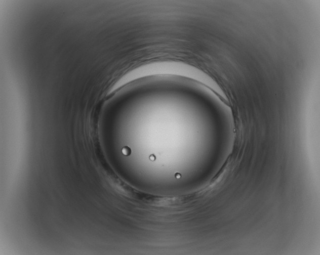 X0000113850136200909241255