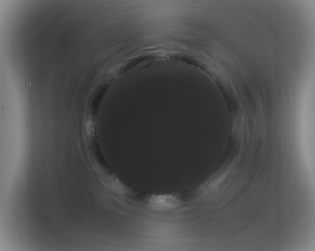 X0000113850137200909241255