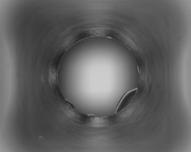 X0000113850141200909241255