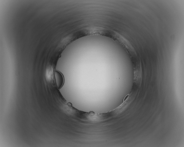 X0000113850142200909241255