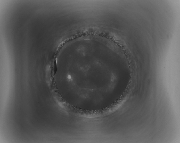 X0000113850144200909241255