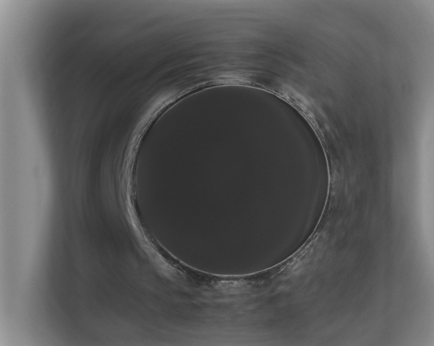 X0000113850145200909241254