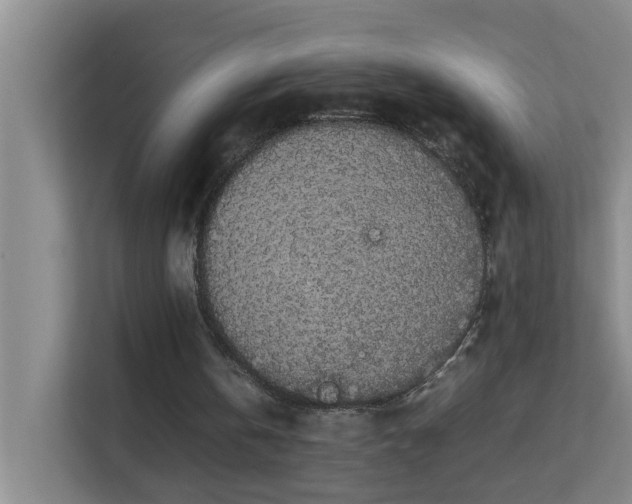 X0000113850146200909241254