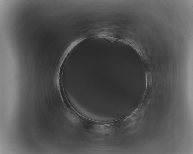 X0000113850147200909241254