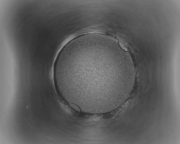 X0000113850148200909241254