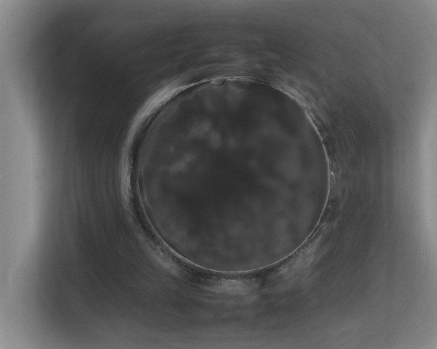 X0000113850149200909241254