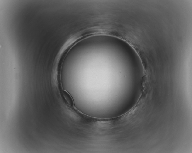 X0000113850150200909241254