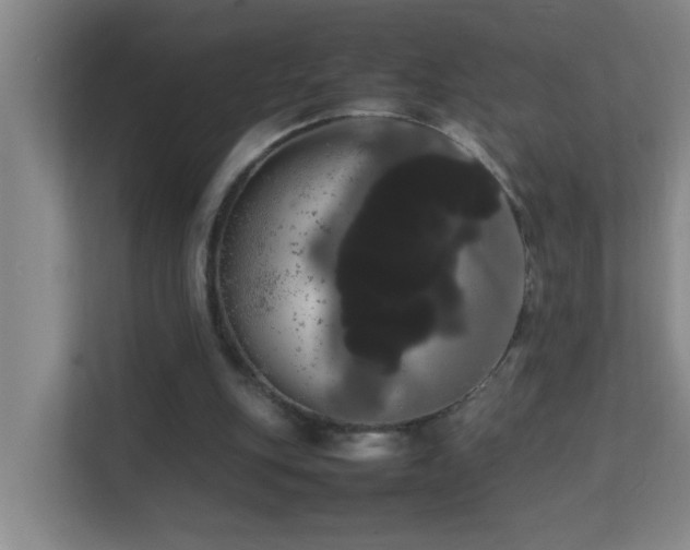 X0000113850151200909241254