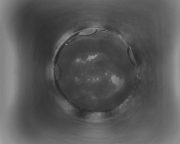 X0000113850152200909241254