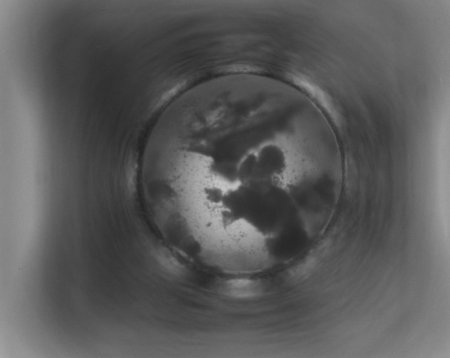 X0000113850153200909241254