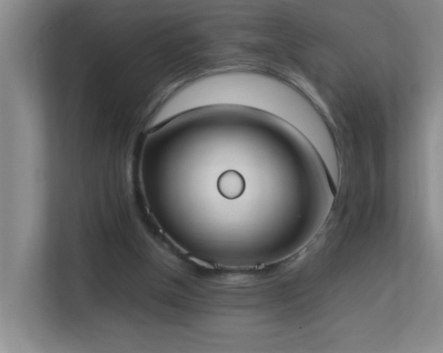 X0000113850154200909241254