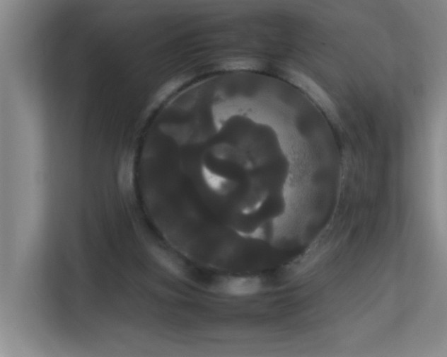 X0000113850155200909241254