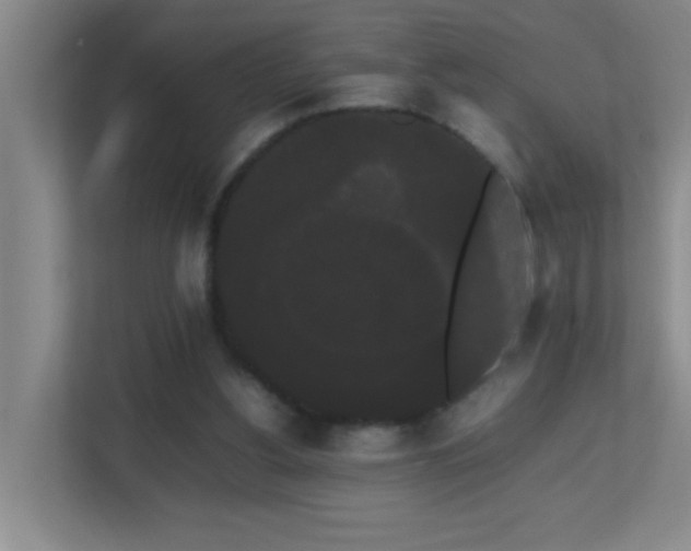 X0000113850156200909241254