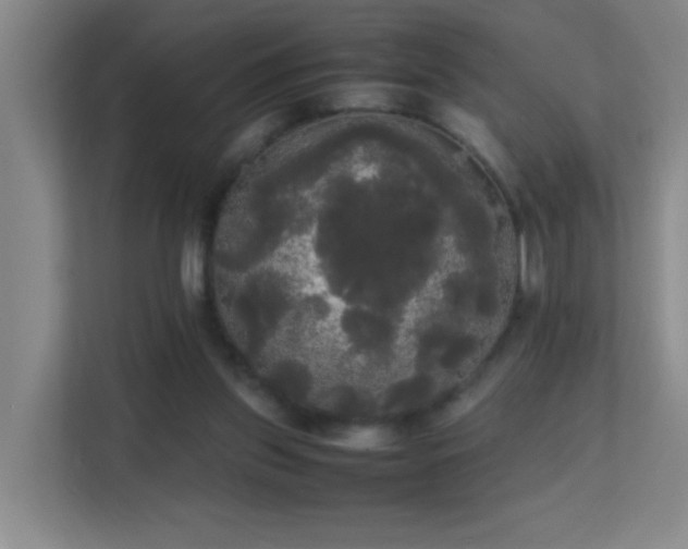 X0000113850157200909241254