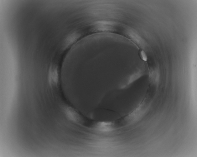 X0000113850158200909241254