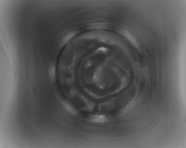 X0000113850159200909241255