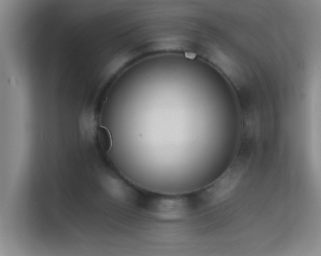 X0000113850160200909241255