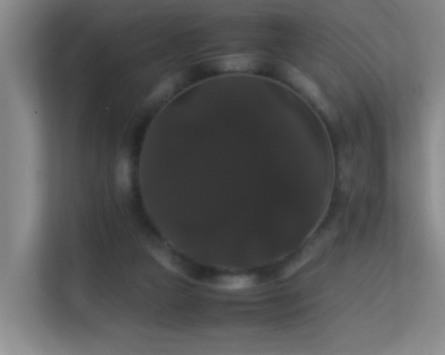 X0000113850161200909241255