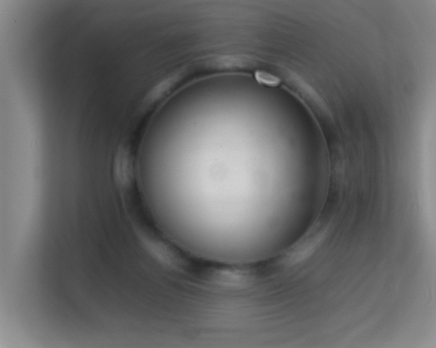 X0000113850164200909241255