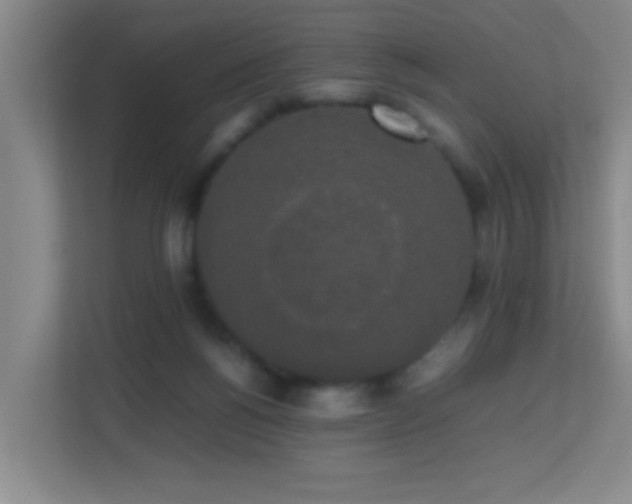 X0000113850168200909241255