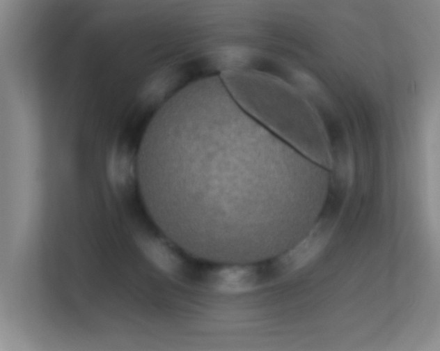 X0000113850172200909241255