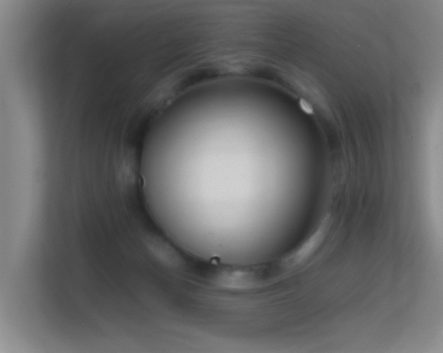 X0000113850174200909241255