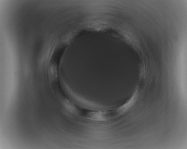 X0000113850182200909241255