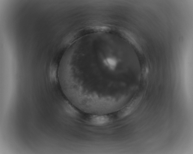 X0000113850185200909241255