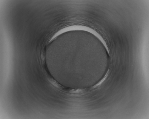 X0000113850186200909241255