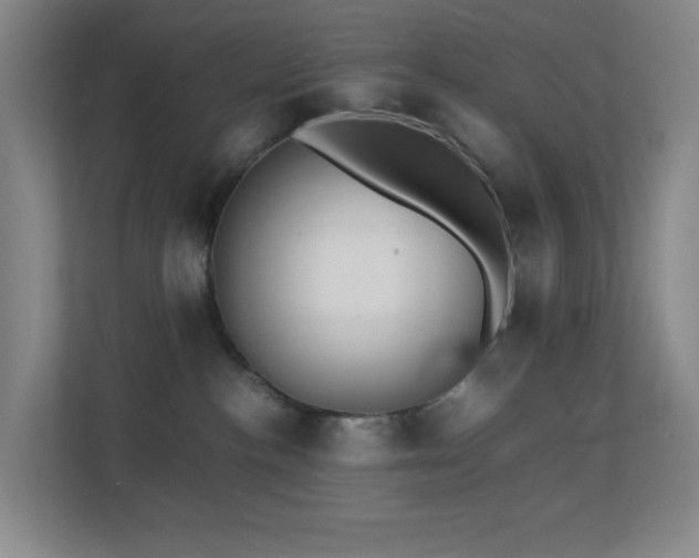 X0000113850188200909241255