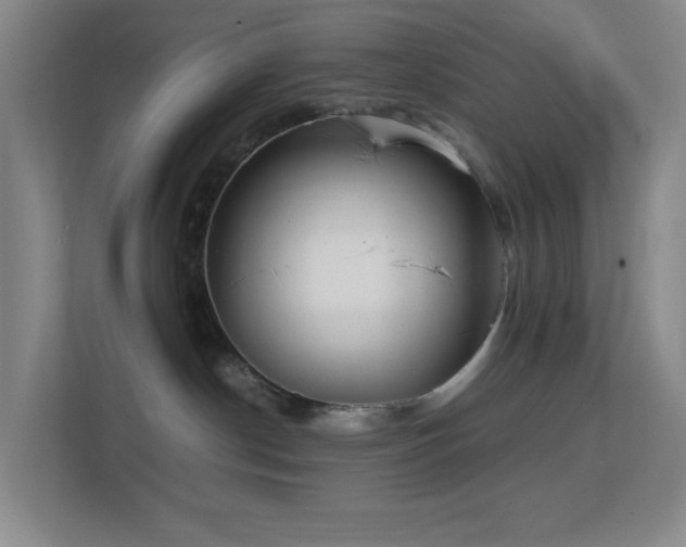 X0000113850190200909241255