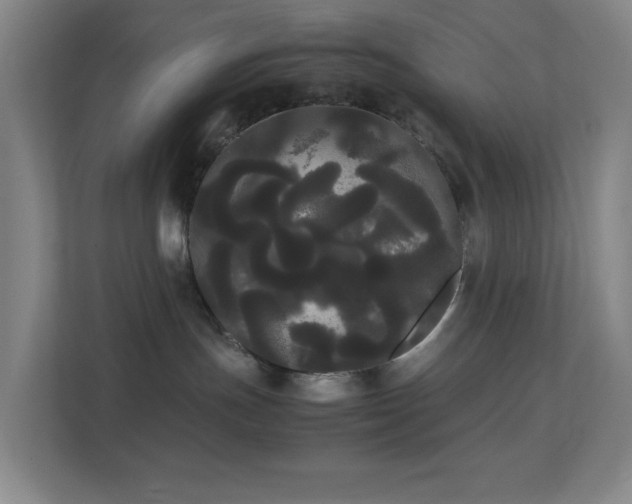 X0000113850191200909241255