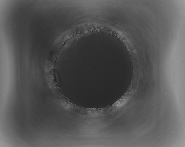 X0000113850192200909241255