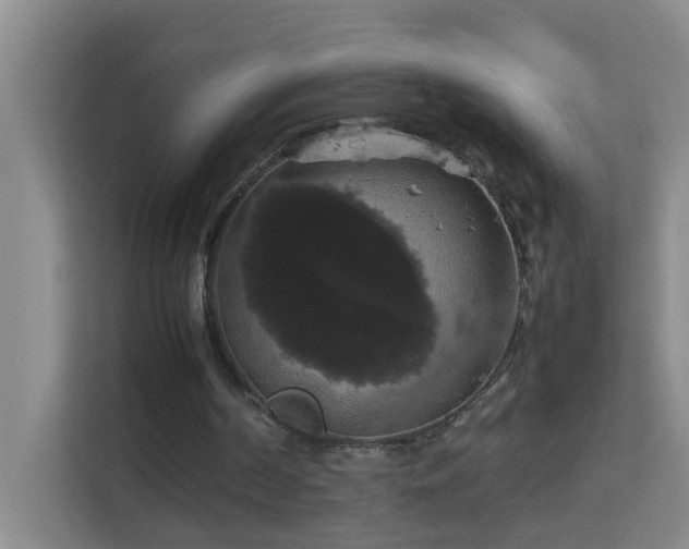 X0000113850194200909241254