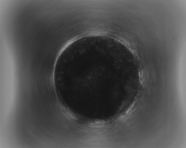 X0000113850196200909241254