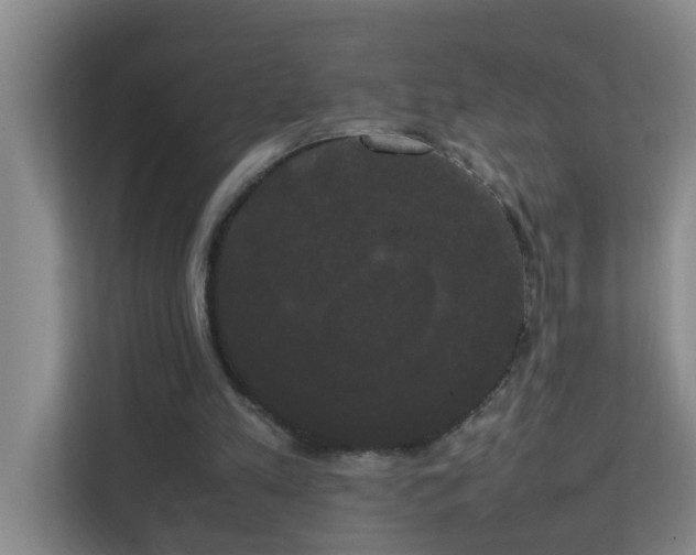 X0000113850197200909241254