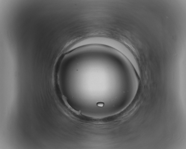 X0000113850203200909241254