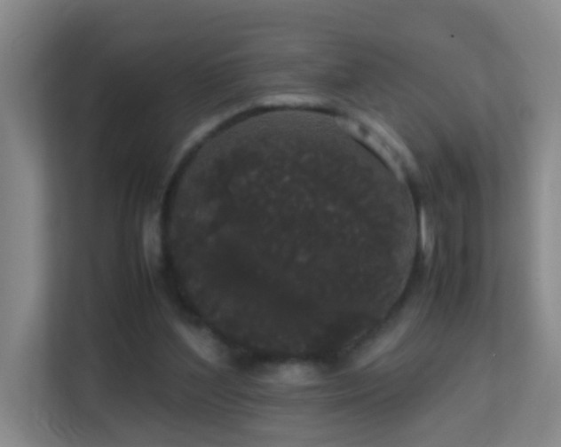 X0000113850204200909241254