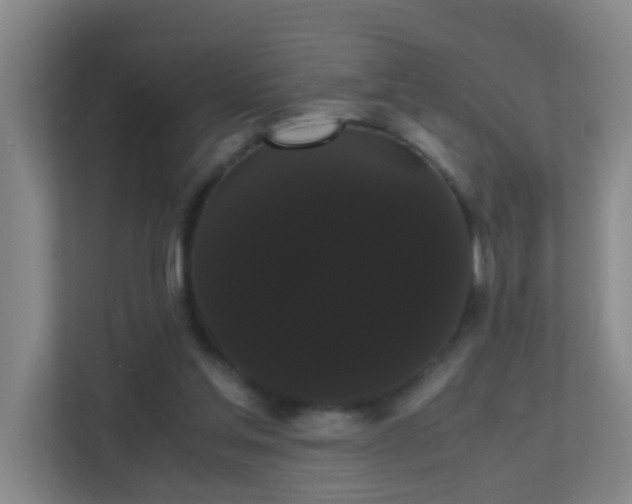 X0000113850205200909241254