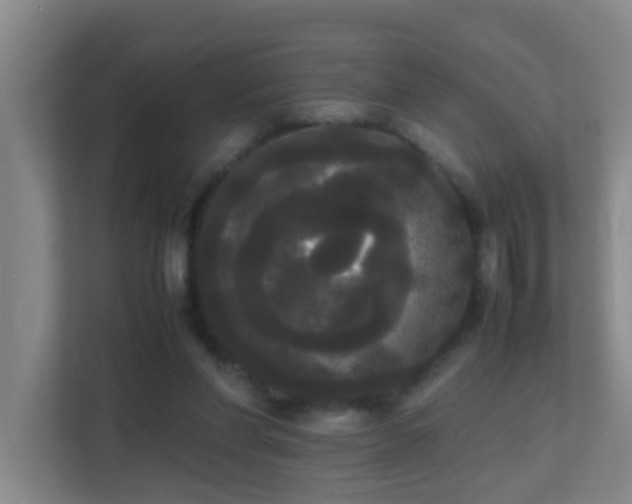 X0000113850206200909241254