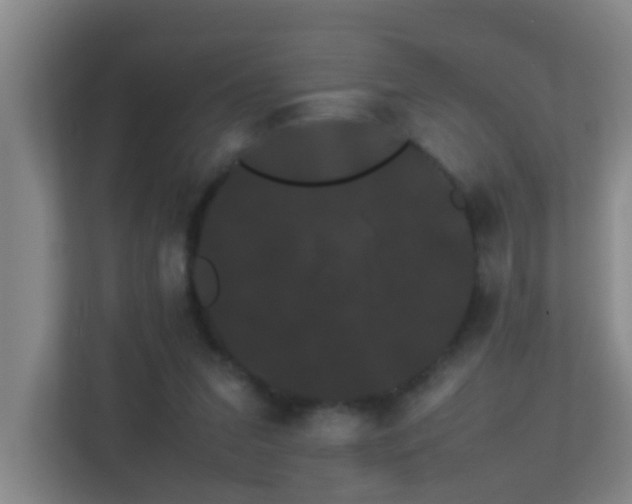 X0000113850207200909241254