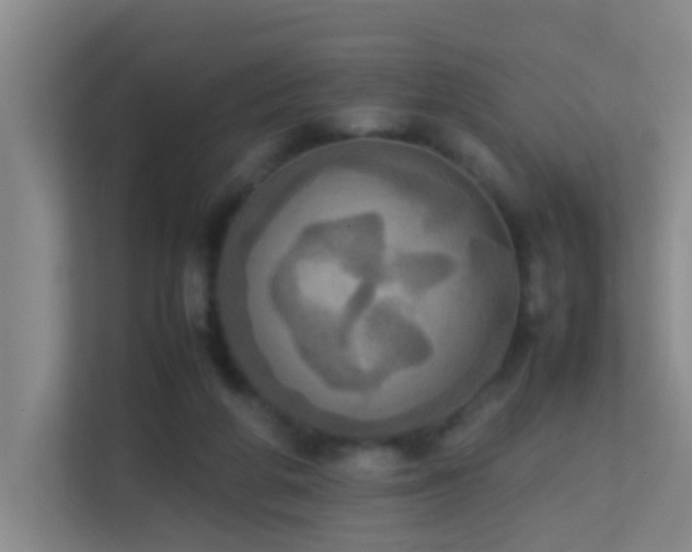 X0000113850210200909241254