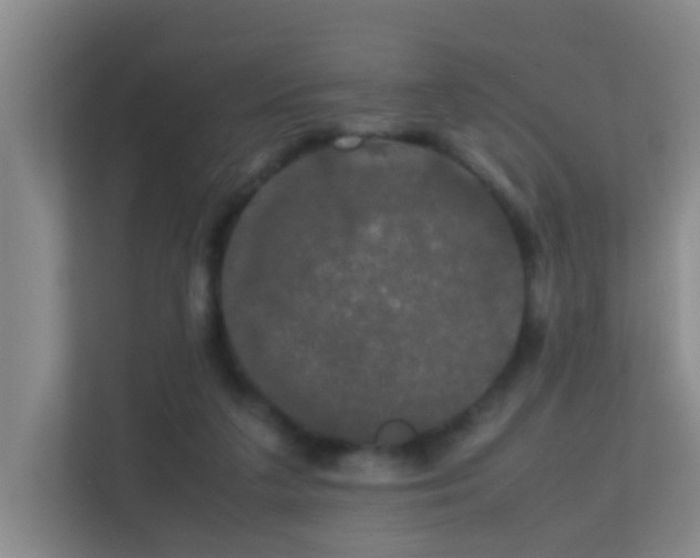 X0000113850211200909241254